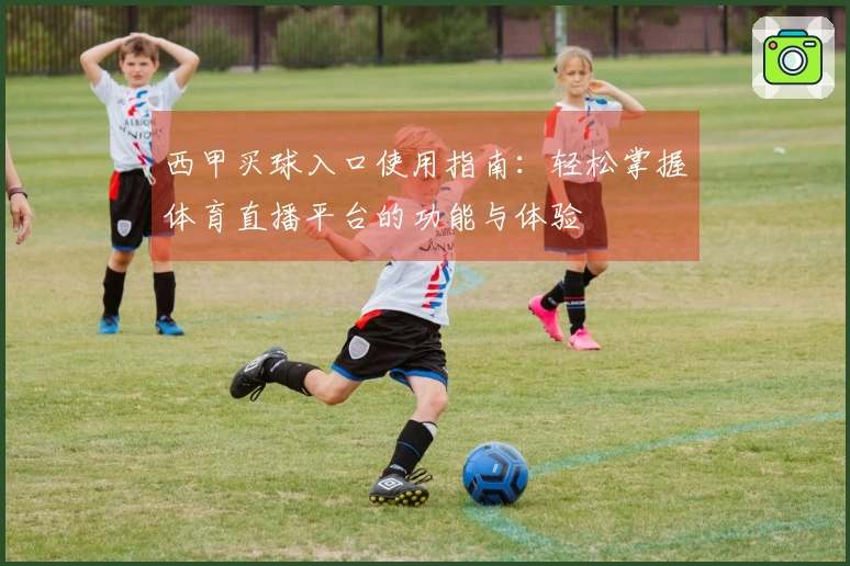 西甲买球入口使用指南：轻松掌握体育直播平台的功能与体验