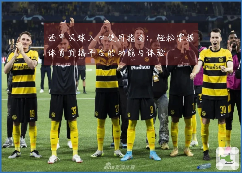 西甲买球入口使用指南：轻松掌握体育直播平台的功能与体验