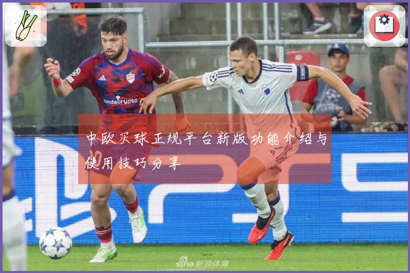 中欧买球正规平台新版功能介绍与使用技巧分享