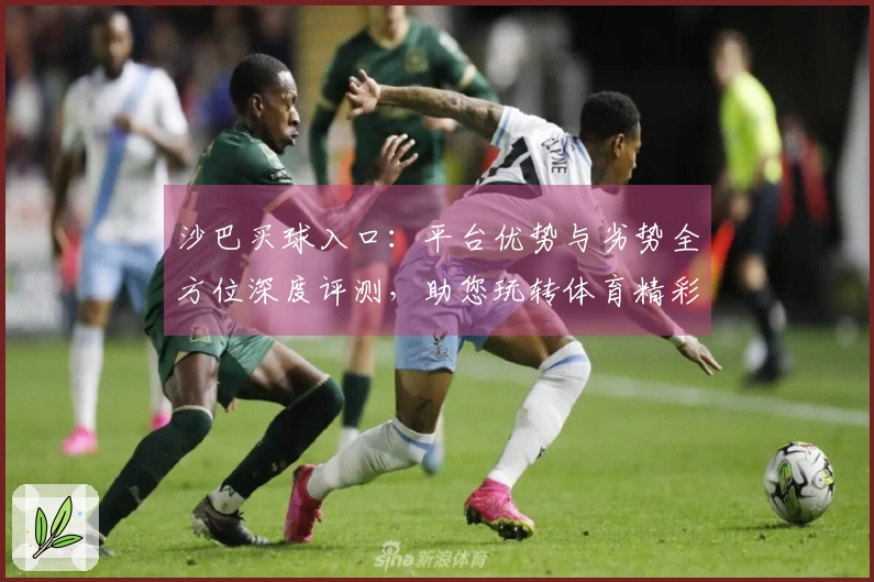 沙巴买球入口：平台优势与劣势全方位深度评测，助您玩转体育精彩